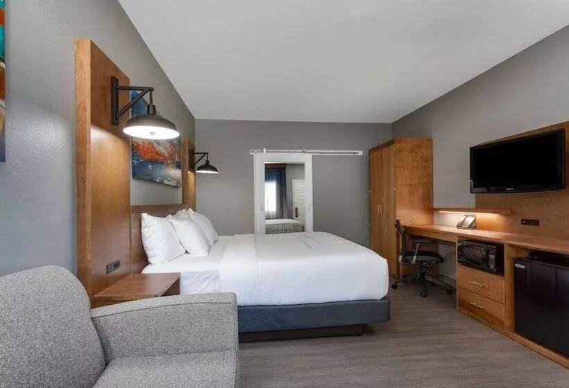 اتاق استاندارد با تخت بزرگ, La Quinta By Wyndham Ft. Myers Sanibel Gateway