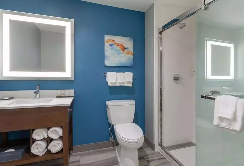 اتاق استاندارد با تخت بزرگ, La Quinta By Wyndham Ft. Myers Sanibel Gateway