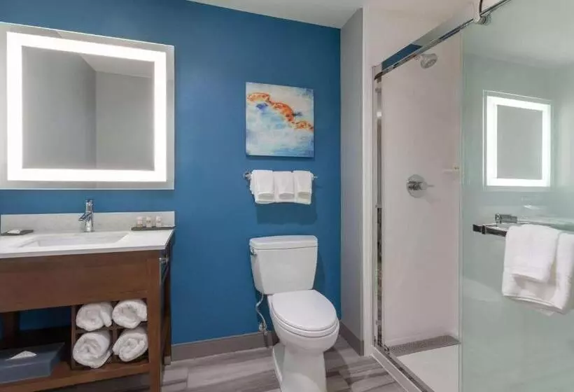 اتاق استاندارد با چشمانداز استخر, La Quinta By Wyndham Ft. Myers Sanibel Gateway