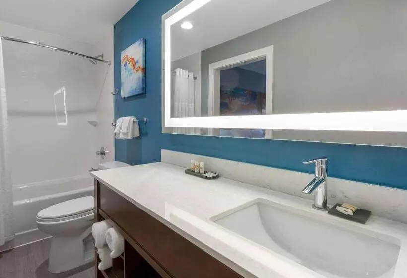 اتاق استاندارد با تخت بزرگ برای معلولان, La Quinta By Wyndham Ft. Myers Sanibel Gateway