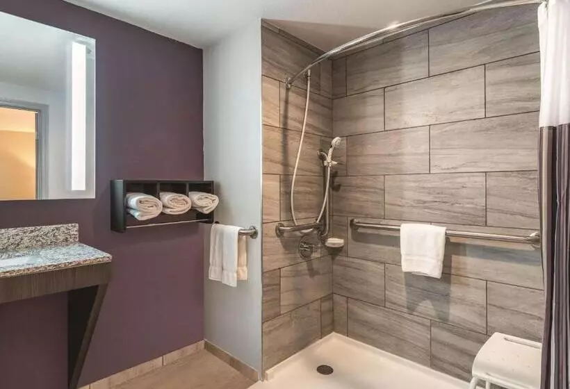 身障者適用キングサイズベッドルーム, La Quinta By Wyndham Glenwood Springs