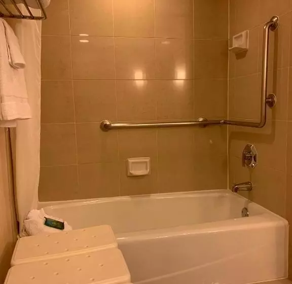 اتاق استاندارد با تخت بزرگ برای معلولان, Ontario Airport Hotel & Conference Center