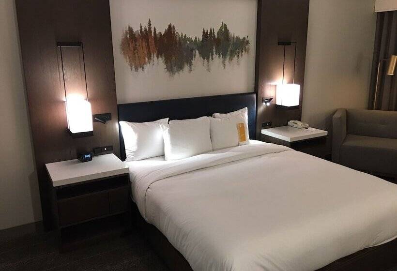 ダブルベッドスタンダードルーム, Hilton Peachtree City Atlanta Hotel & Conference Center