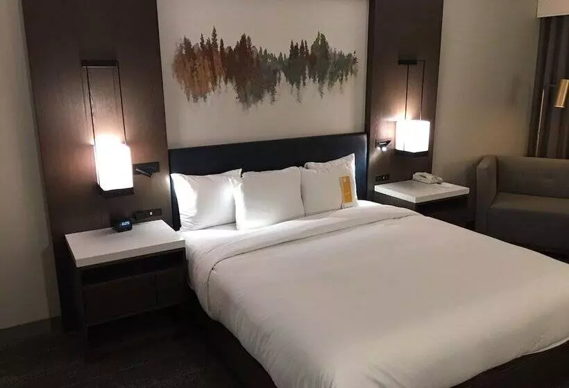 ダブルベッドスタンダードルーム, Hilton Peachtree City Atlanta Hotel & Conference Center