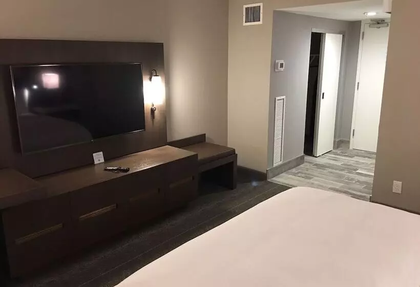 ダブルベッドスタンダードルーム, Hilton Peachtree City Atlanta Hotel & Conference Center