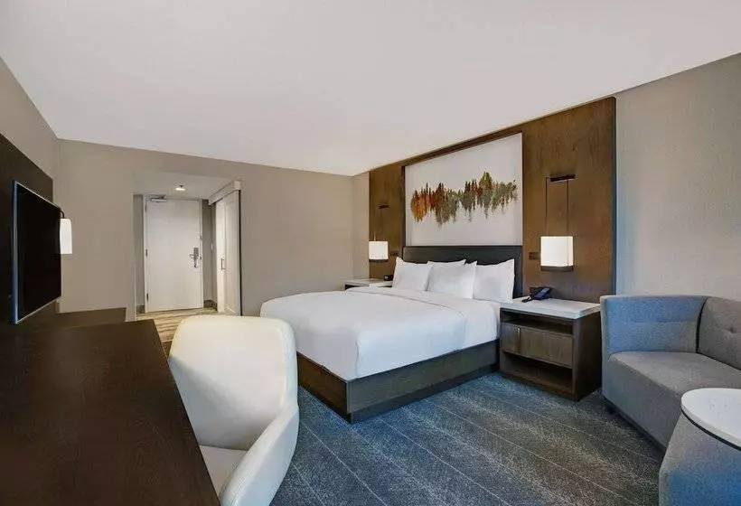 ダブルベッドスタンダードルーム, Hilton Peachtree City Atlanta Hotel & Conference Center