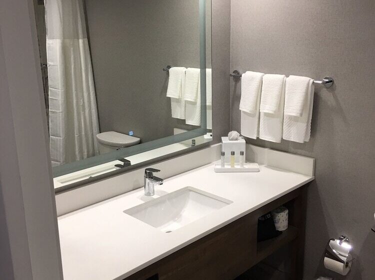 ２ダブルベッドのスタンダードルーム, Hilton Peachtree City Atlanta Hotel & Conference Center