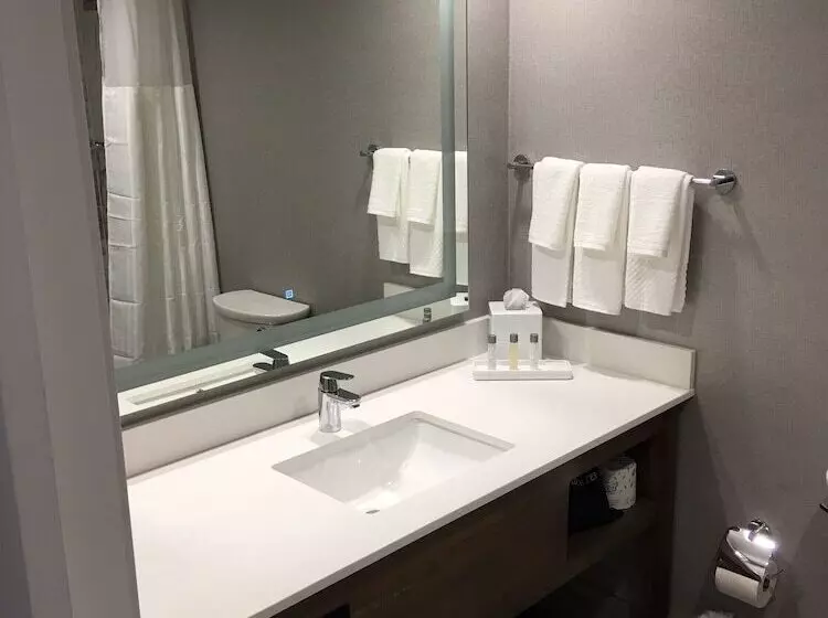 2ダブルベッドのスタンダードルーム, Hilton Peachtree City Atlanta Hotel & Conference Center