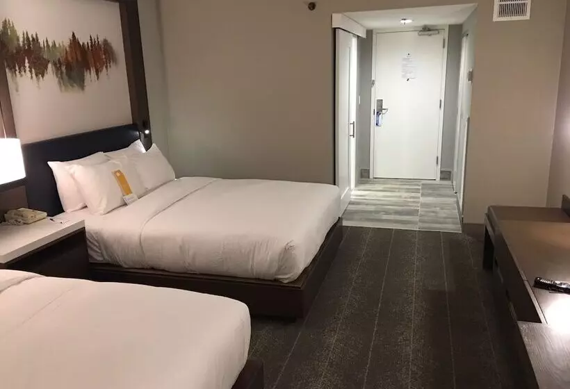 2ダブルベッドのスタンダードルーム, Hilton Peachtree City Atlanta Hotel & Conference Center