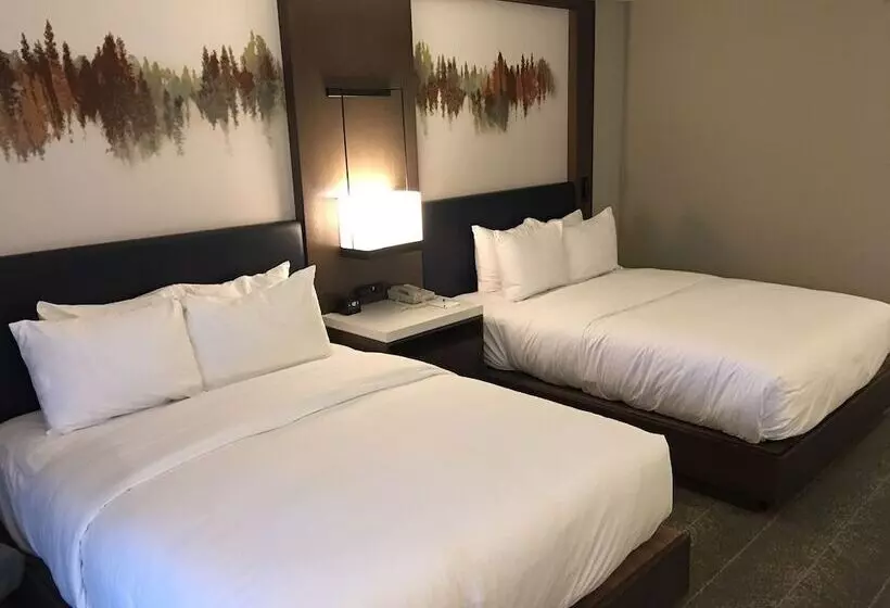 2ダブルベッドのスタンダードルーム, Hilton Peachtree City Atlanta Hotel & Conference Center