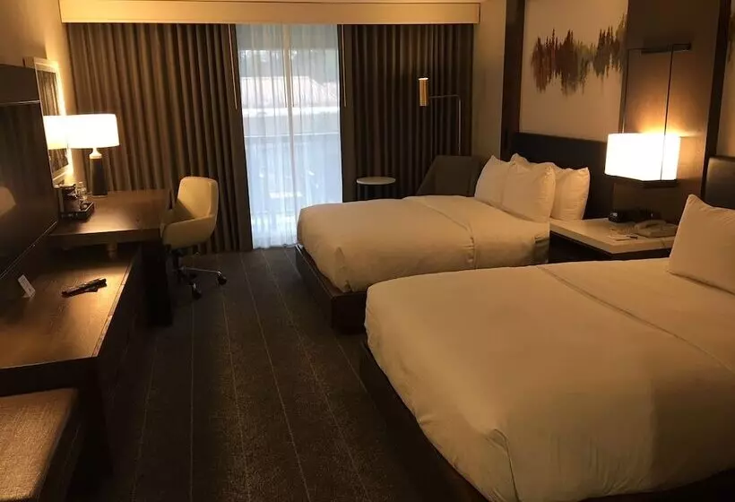 2ダブルベッドのスタンダードルーム, Hilton Peachtree City Atlanta Hotel & Conference Center