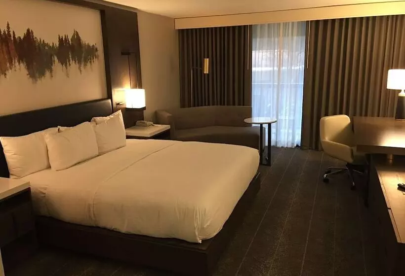 ダブルベッドスタンダードルーム, Hilton Peachtree City Atlanta Hotel & Conference Center