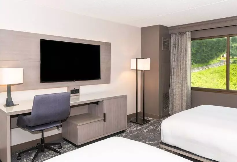 اتاق استاندارد با 2 تخت دوبل, Pittsburgh Airport Marriott