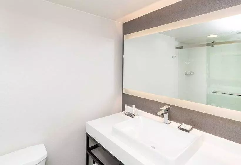 اتاق استاندارد برای معلولان, Pittsburgh Airport Marriott