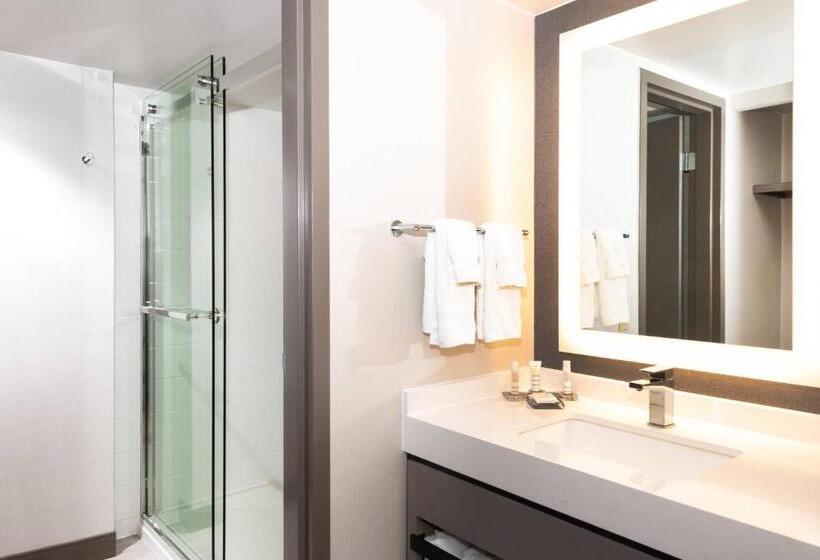 キングサイズベッドのジュニアスイート, Pittsburgh Airport Marriott