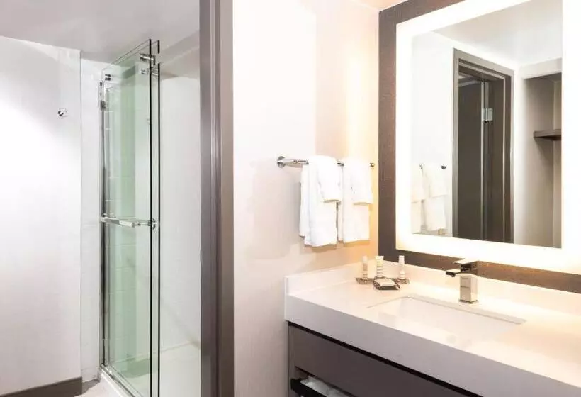 اتاق استاندارد با تخت بزرگ برای معلولان, Pittsburgh Airport Marriott