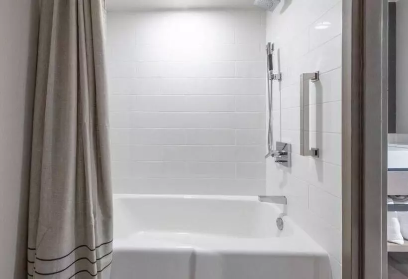 اتاق استاندارد برای معلولان, Pittsburgh Airport Marriott