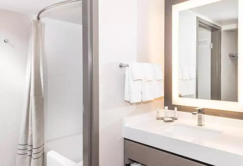 اتاق استاندارد برای معلولان, Pittsburgh Airport Marriott