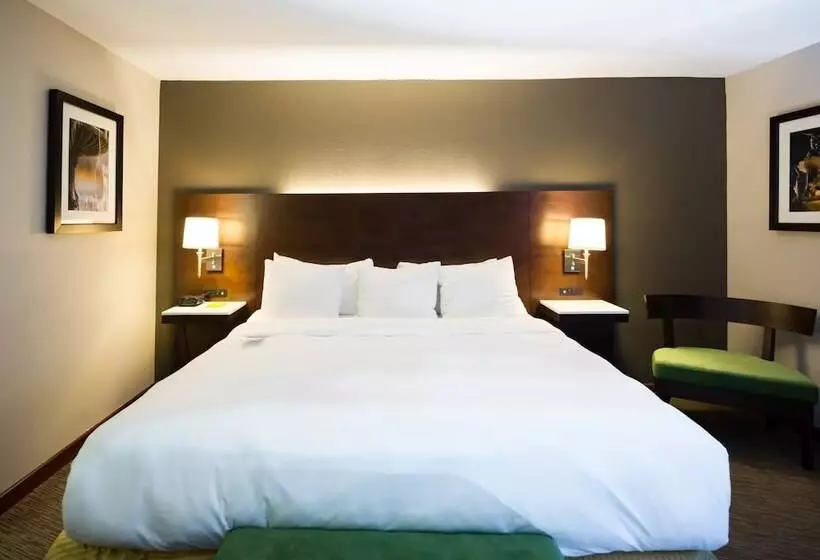 ダブルベッドスタンダードルーム, Radisson Hotel Cincinnati Riverfront