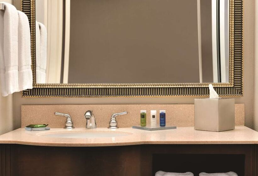 חדר פרמיום עם נוף לעיר, Radisson Hotel Cincinnati Riverfront