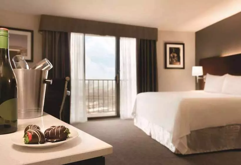 シティビュープレミアムルーム, Radisson Hotel Cincinnati Riverfront