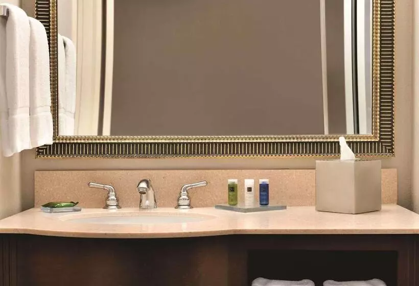 ２ダブルベッドのスタンダードルーム, Radisson Hotel Cincinnati Riverfront