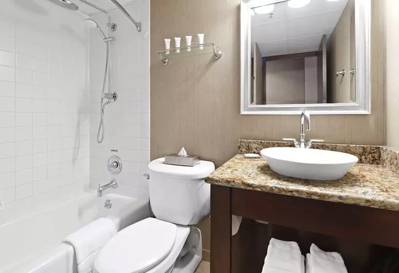 اتاق استاندارد با 2 تخت دوبل, Radisson Hotel La Crosse
