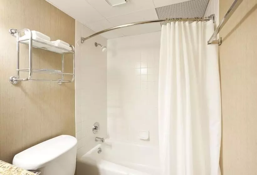 اتاق استاندارد با 2 تخت دوبل, Radisson Hotel La Crosse