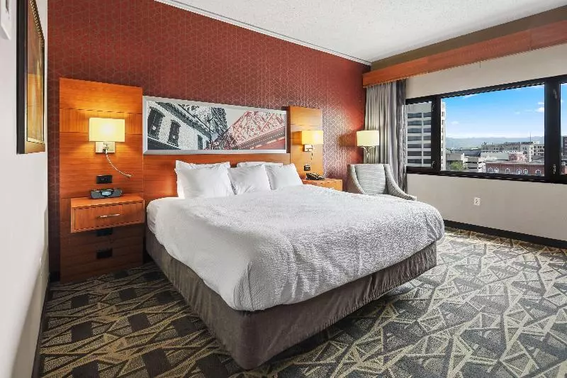 اتاق استاندارد با تخت بزرگ, Radisson Hotel La Crosse