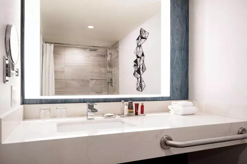 اتاق استاندارد با تخت بزرگ, Radisson Hotel La Crosse