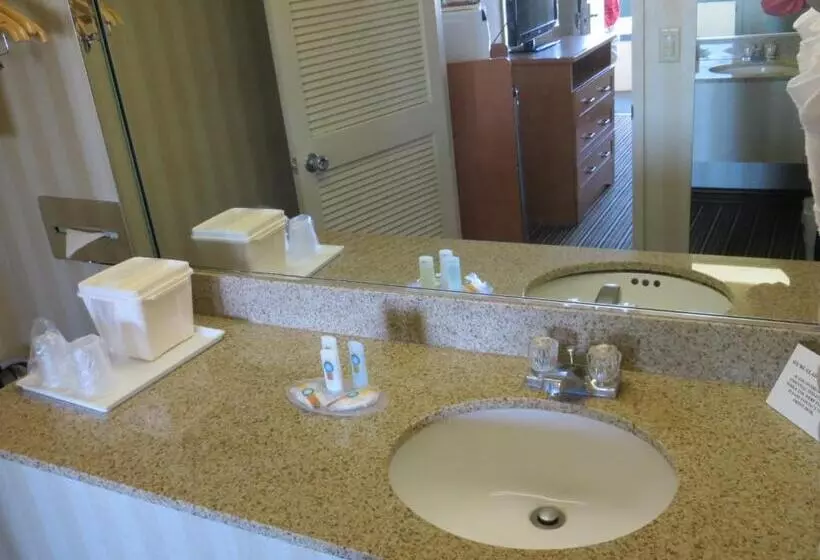スタンダードルーム, Travelodge By Wyndham Palm Springs