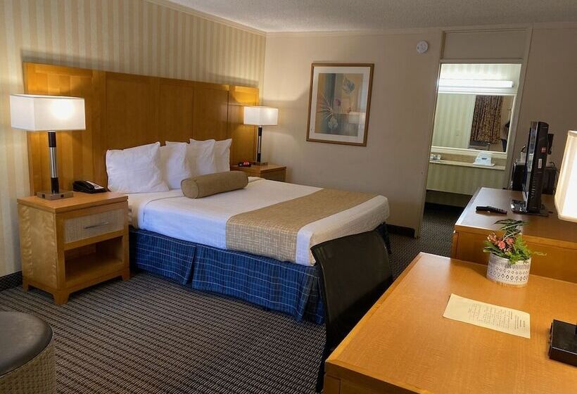 غرفة ديلوكس, Travelodge By Wyndham Palm Springs