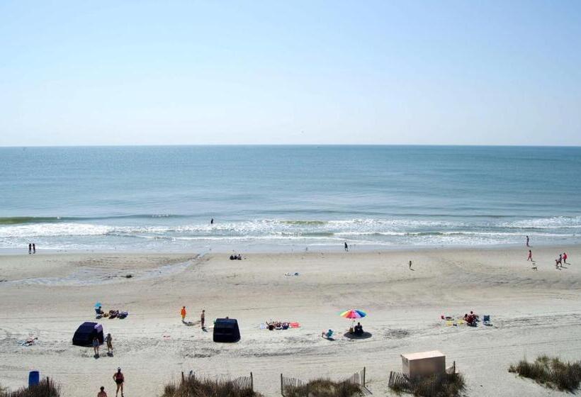 标准工作室, Palace Resort