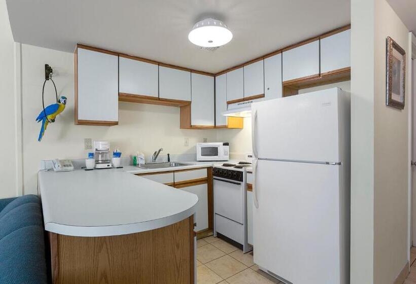 标准工作室, Palace Resort