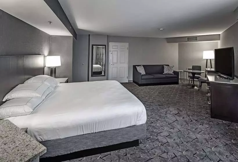 スイート, Doubletree By Hilton Hotel Modesto
