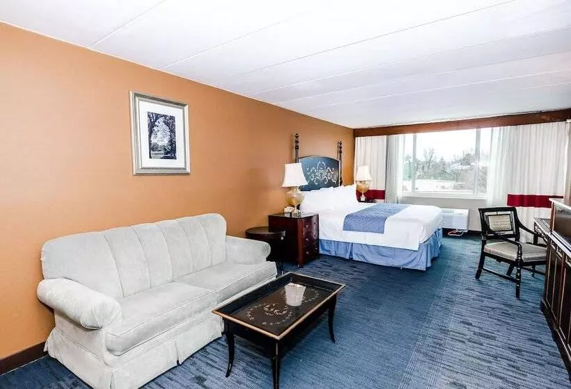 ジュニアスイート, Metro Points Hotel Washington North