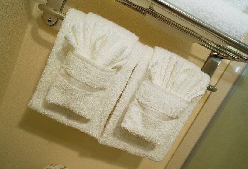 غرفه قياسيه سريرين مزدوجين, Quality Inn Pasadena Houston