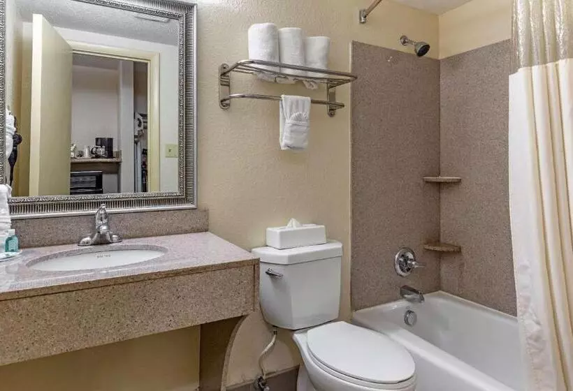２ダブルベッドのスタンダードルーム, Quality Inn & Suites  Greensborohigh Point