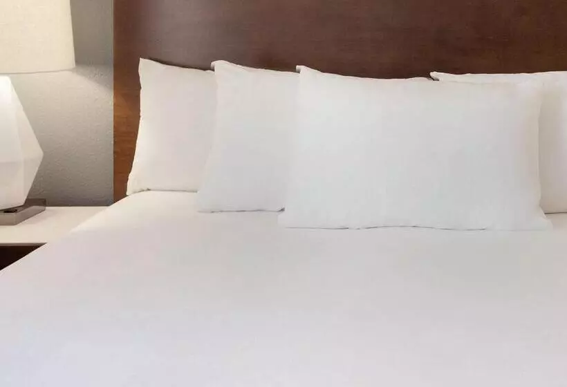 エクゼクティブルーム, Radisson Hotel Bismarck