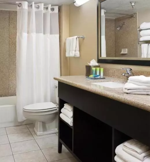 キングサイズベッドのエクゼクティブルーム, Radisson Hotel Bismarck
