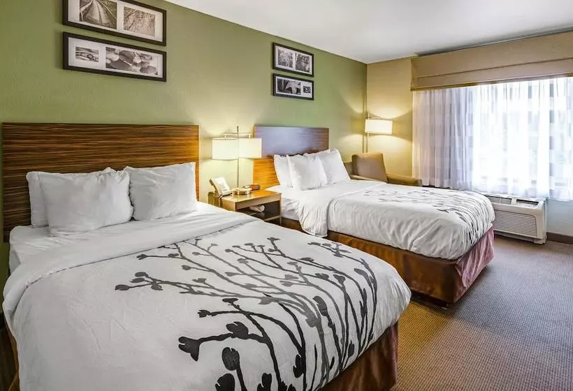 ２ダブルベッドのスタンダードルーム, Sleep Inn Boone University Area