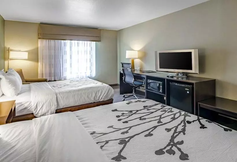 ２ダブルベッドのスタンダードルーム, Sleep Inn Boone University Area