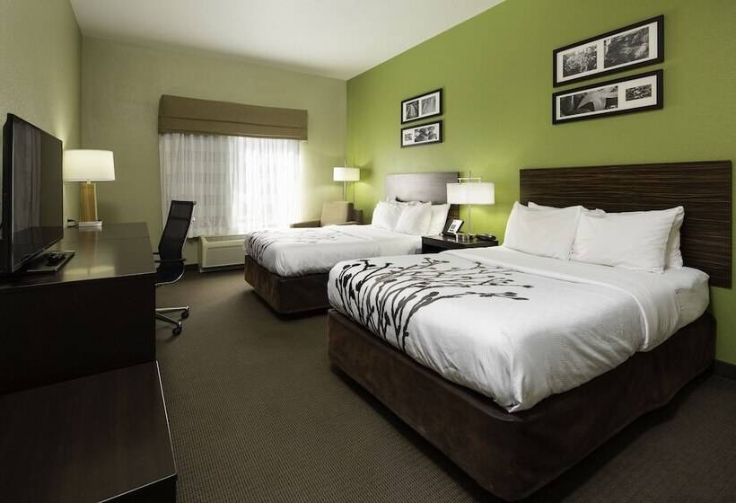스탠다드 룸 더블 침대 2개, Sleep Inn Boone University Area