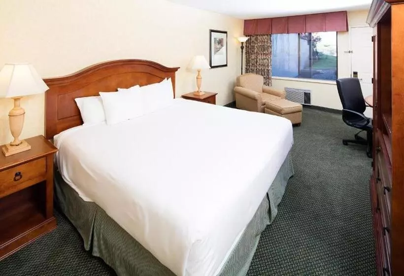 Standaardkamer met Kingsize Bed Aangepast voor Gehandicapten, Red Lion Hotel Pendleton