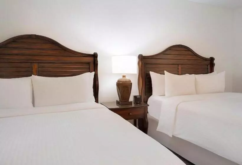 スイート, Saddlebrook Resort