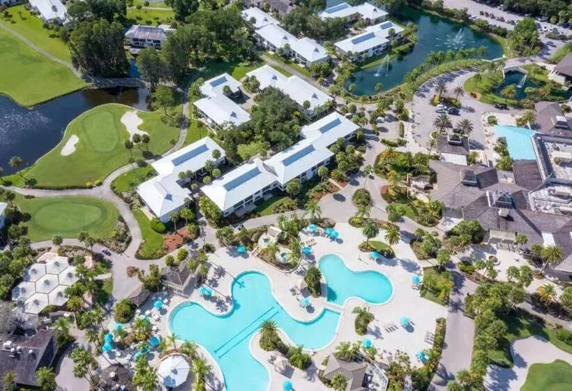 プールビュースイート, Saddlebrook Resort