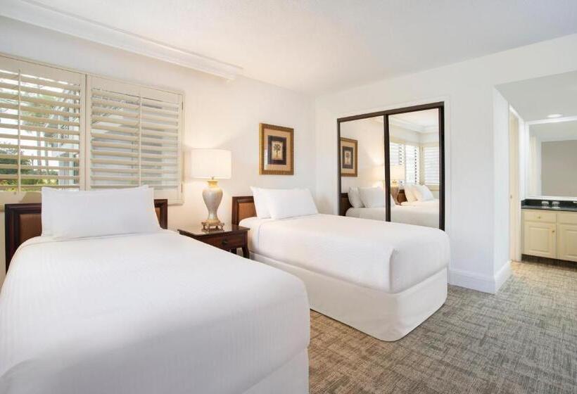 家庭套房, Saddlebrook Golf Resort & Spa Tampa North Wesley Chapel