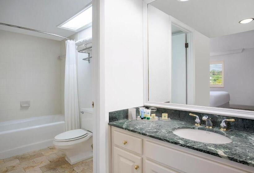 Люкс Повышенной Комфортности, Saddlebrook Golf Resort & Spa Tampa North Wesley Chapel