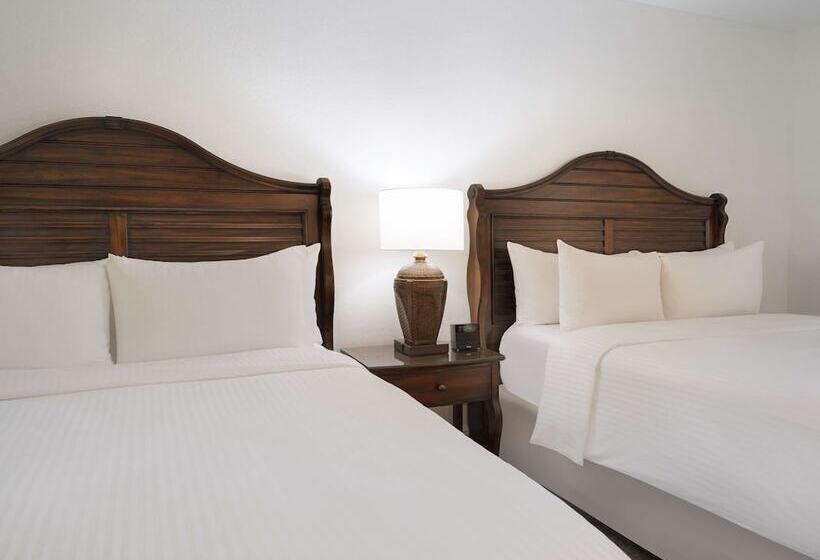 豪华房间, Saddlebrook Golf Resort & Spa Tampa North Wesley Chapel