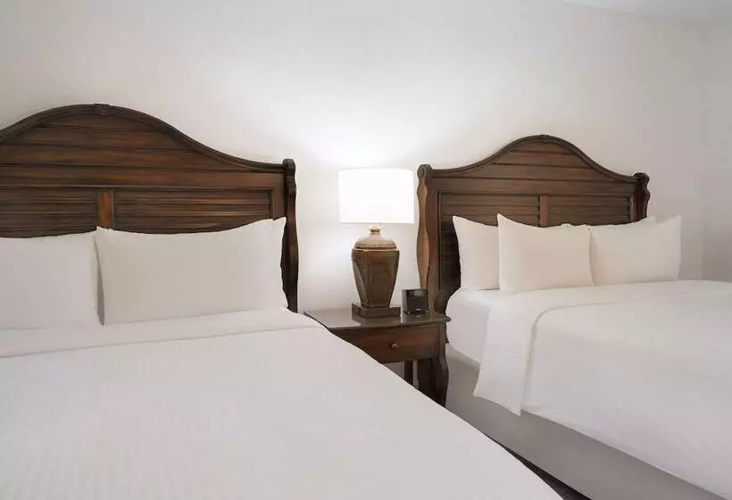 デラックスルーム, Saddlebrook Resort